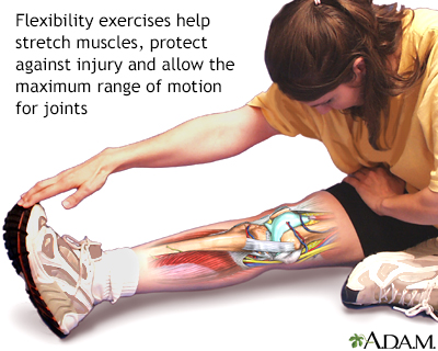 Flexibility exercise