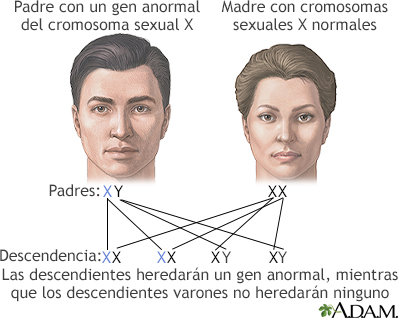 Gen Recesivo Ligado Al Sexo