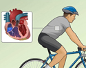 Echocardiography (ECG) - exercise stress test overview